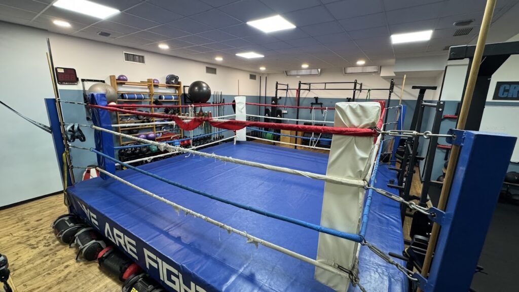 Il ring – Fight or Die